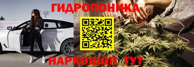 2c-b Обь