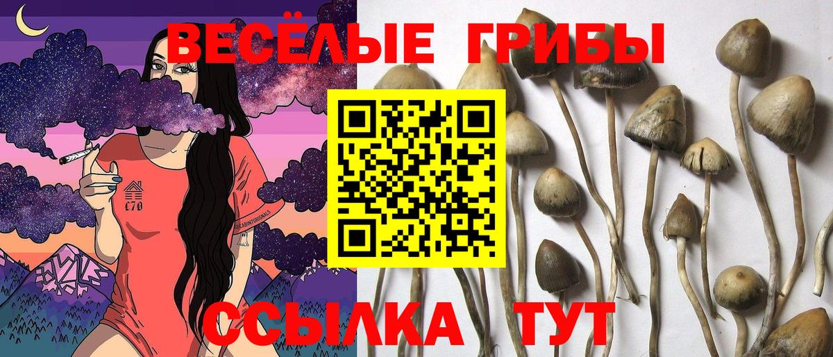 купить наркотики цена  Галлюциногенные грибы MAGIC MUSHROOMS  Вход с VPN  Северск 