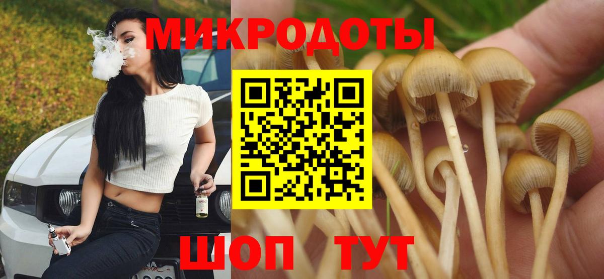Галлюциногенные грибы Psilocybe Северск